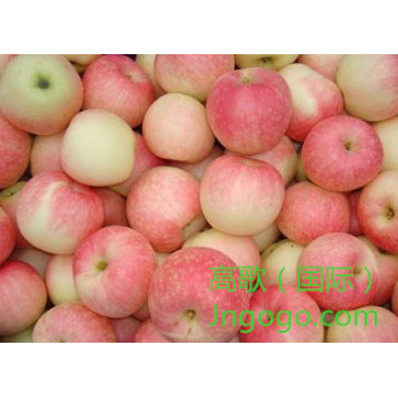 Exportação de boa qualidade Fresh Chinese Gala Apple